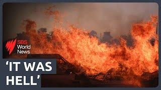 Devastation revealed in Greece as residents return to burnt Athens suburbs