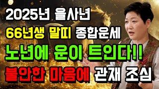 2025년 을사년 66년생 말띠 종합운세 노년에 운이 트인다. 불안한 마음에 관재 조심