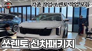 쏘렌토 신차패키지, 취향에 맞게 준비되어 있습니다