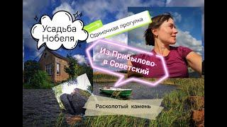 Одиночное путешествие от ст. Прибылово до пос. Советский. Ленинградская область, Выборгский район.