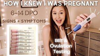 How I knew I was pregnant! 6-14 DPO symptoms, BBT monitoring, ovulation testing, + line progression