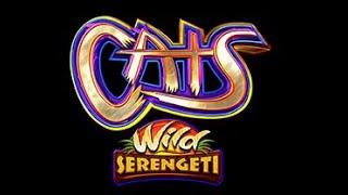 Cats Wild Serengeti Slot Machine!