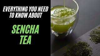 Everything You Need to Know About Sencha - How Sencha is Made and How to Prepare Sencha