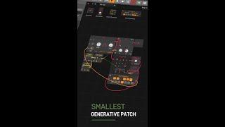 The Smallest Generative Patch in The Grid