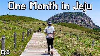 Hiking Hallasan Yeongsil Course, Donnaeko Valley, and Pyoseon Beach | Ep 3 |One Month in Jeju