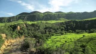 Control of the locust plague in Madagascar (March 2014)