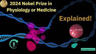 Explained! 2024 Nobel Prize in Physiology or Medicine. What is microRNA mediated gene regulation?