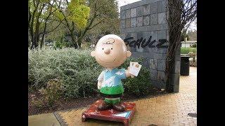 Charles M. Schulz Museum - Visit Santa Rosa