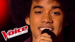 Gloria Gaynor – I Am What I Am | Gwendal Marimoutou | The Voice France 2014 | Blind Audition