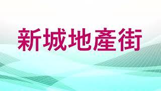 合景泰富集團香港區總經理海外拓展部蘇維文