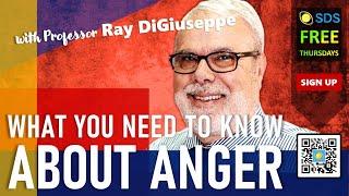 Demystifying Anger with Ray DiGiuseppe and Paul Grantham #sdsseminars #anger #raydigiuseppe #sds