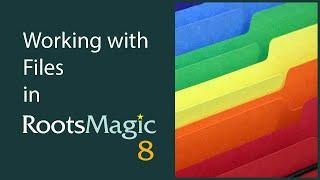 Working with Files in RootsMagic 8