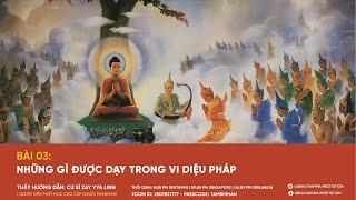 VI DIỆU PHÁP | BÀI 3:  NHỮNG GÌ ĐƯỢC DẠY TRONG VI DIỆU PHÁP | ZAY YYA LINN