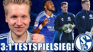 3:1 Sieg im Test vs. FC Aarau! Fehlendes Vertrauen in Heekeren? - Schalke News