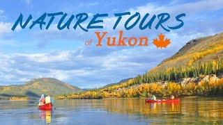 Canoe trip in Yukon, Canada