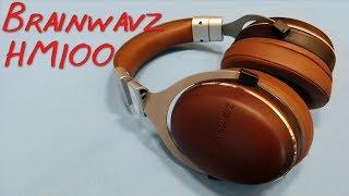 Z Review - Brainwavz HM100 [why u dissapoint?]