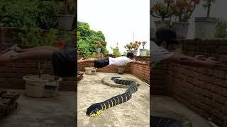 21 March | Man vs cobra funny vfx video | viral magic video | Ayan mechanic