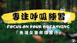 【靜心冥想引導】專注呼吸練習
