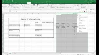 REPORTE DE CONDUCTA AUTOMATIZADO CON MACRO EN EXCEL