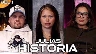 JULIAS HISTORIA! Del 1 (CHRIPPA ANHÅLLEN, LÖGNERNA, BEVISEN)