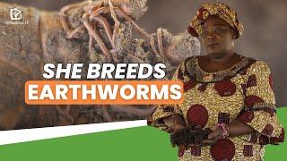 Burkina Faso: She breeds earthworms