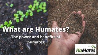 What are the benefits of Humates?