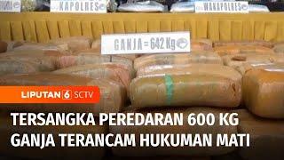 600 Kg Ganja Disita, Sindikat Jaringan Narkoba Sumatera-Jawa Dibongkar Polisi | Liputan 6