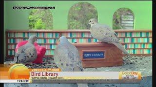 Bird Library