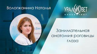 Занимательная анатомия роговицы глаза. Лектор Вологжанина Наталья #убвк_офтальмология