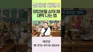 양띠는 삼재인데 오히려 초대박이 난다!!