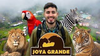 ¡AYUDEMOS a los ANIMALES de JOYA GRANDE aún estamos a TIEMPO! 