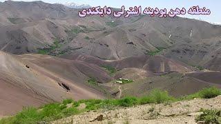 The beautiful mouth area of ​​Esterli Daikandi mint.منطقه زیبا دهن پودینه اشترلی دایکندی.