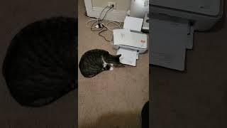 Printer works