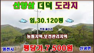 물번.507번) 산양삼,임야30.120평 더덕,고사리,쇠철 울타리설치,차량진입.구거접,전기,30.120평중에 보전관리지역,준보전산지,4.800평 있음.평당,7.500원에 매매합니다