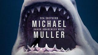 Michael Muller - Shark Awareness Week