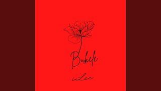 Bukele (Extended Version)