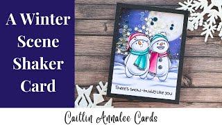 Sweet November Stamps Wonderful Winter Giveaway | Snowman Shaker Card, Copic Coloring and Airbrush