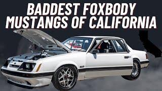 The Baddest Foxbody Mustangs of California Part 1