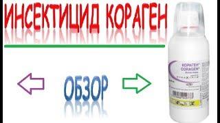 Инсектицид Кораген для эффективной защиты яблонь от плодожерки яблуневой