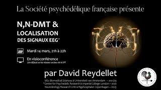 DMT and neurosciences