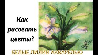 Рисуем цветы акварелью