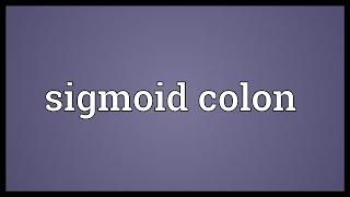 Sigmoid colon Meaning