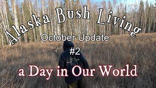 Let us show you around our little bit of Alaskan wilderness - Oct Update #2