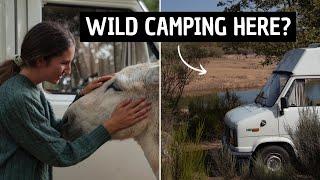 Wild Camping in the Spanish Wildlife | Real Van Life