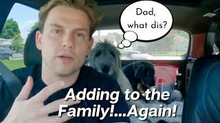New Puppy Surprise! | A Growing Family | Dr Mike Herring