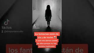 Los fantasmas están en todos lados DE DIA Y DE NOCHE