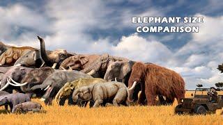 Elephant Size Comparison: Living and Extinct | Elephant Evolution | Prehistoric Elephants