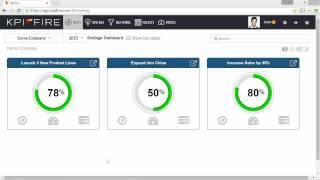 Strategy Execution with KPI Fire Strategy Execution Software