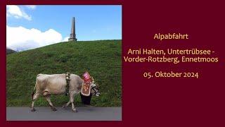 Alpabfahrt Arni Halten, Untertrübsee - Vorder-Rotzberg, Ennetmoos (05. Okt. 2024)