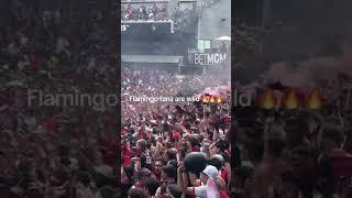 Flamingo fans are wild #viral #fifacwc #flamengo #chelsea